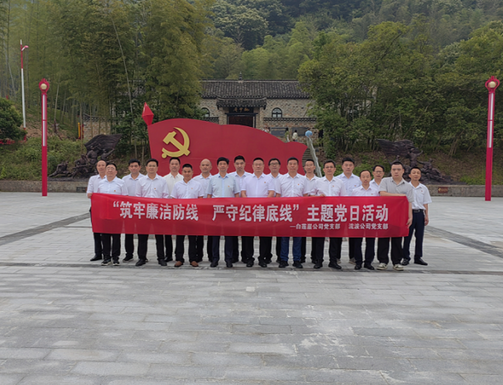 白蓮崖電站、流波電站_副本.png